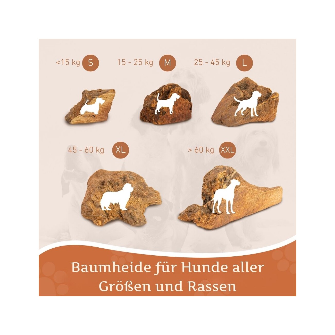 Wildfang ® Kauwurzel aus Baumheide 1 S