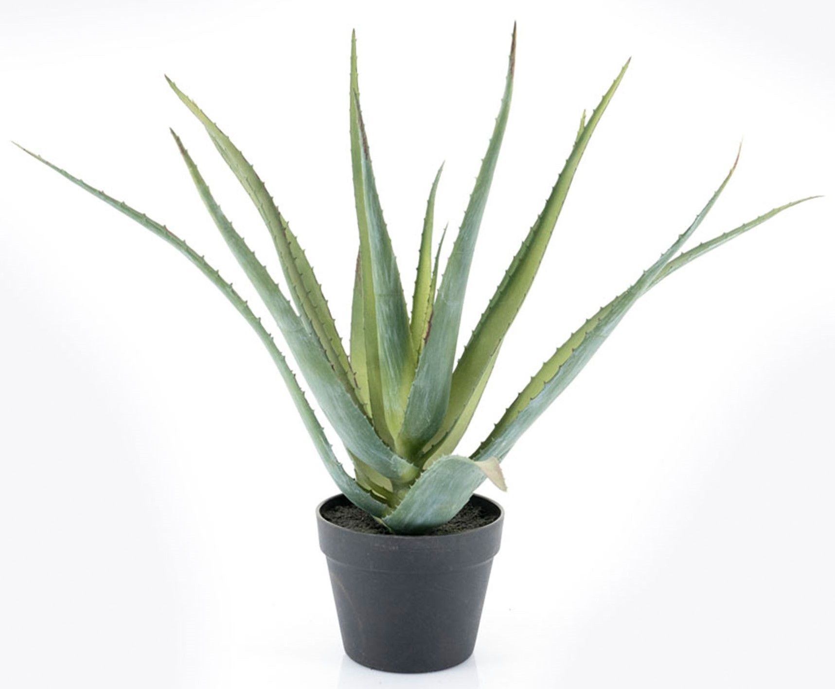 Kunstplant 403120 Aloe Vera B41 x D41 x H58.5 cm