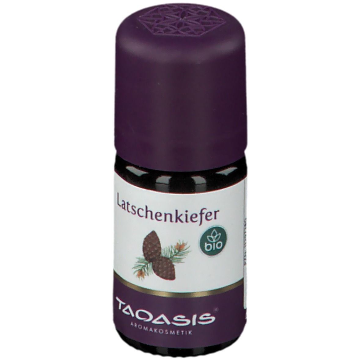 TAOASIS® Latschenkiefer