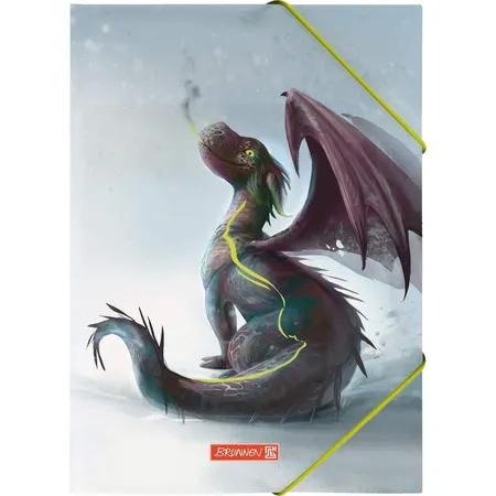 BRUNNEN Sammelmappe Drago, A4
