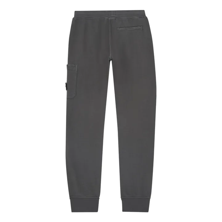 Stone Island Jogger Cargo | Bleu gris