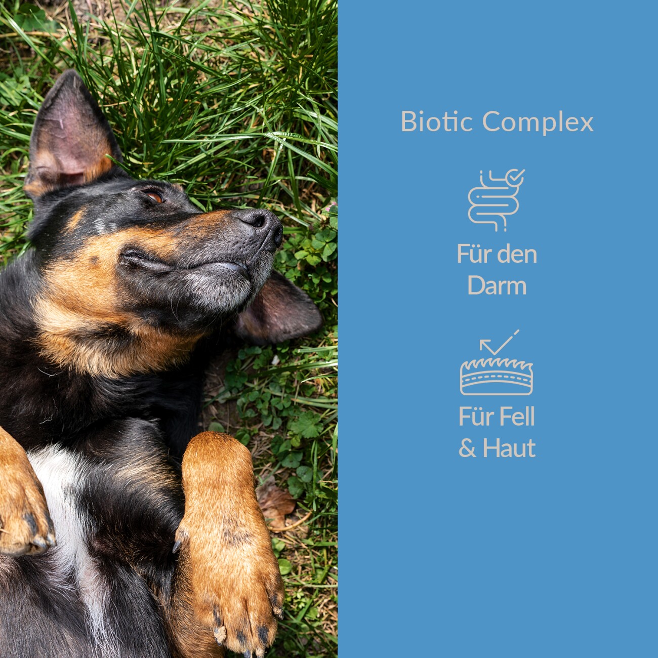 DOGCS Biotic Complex