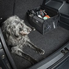 Organiseur pour coffre 'the car organizer', noir