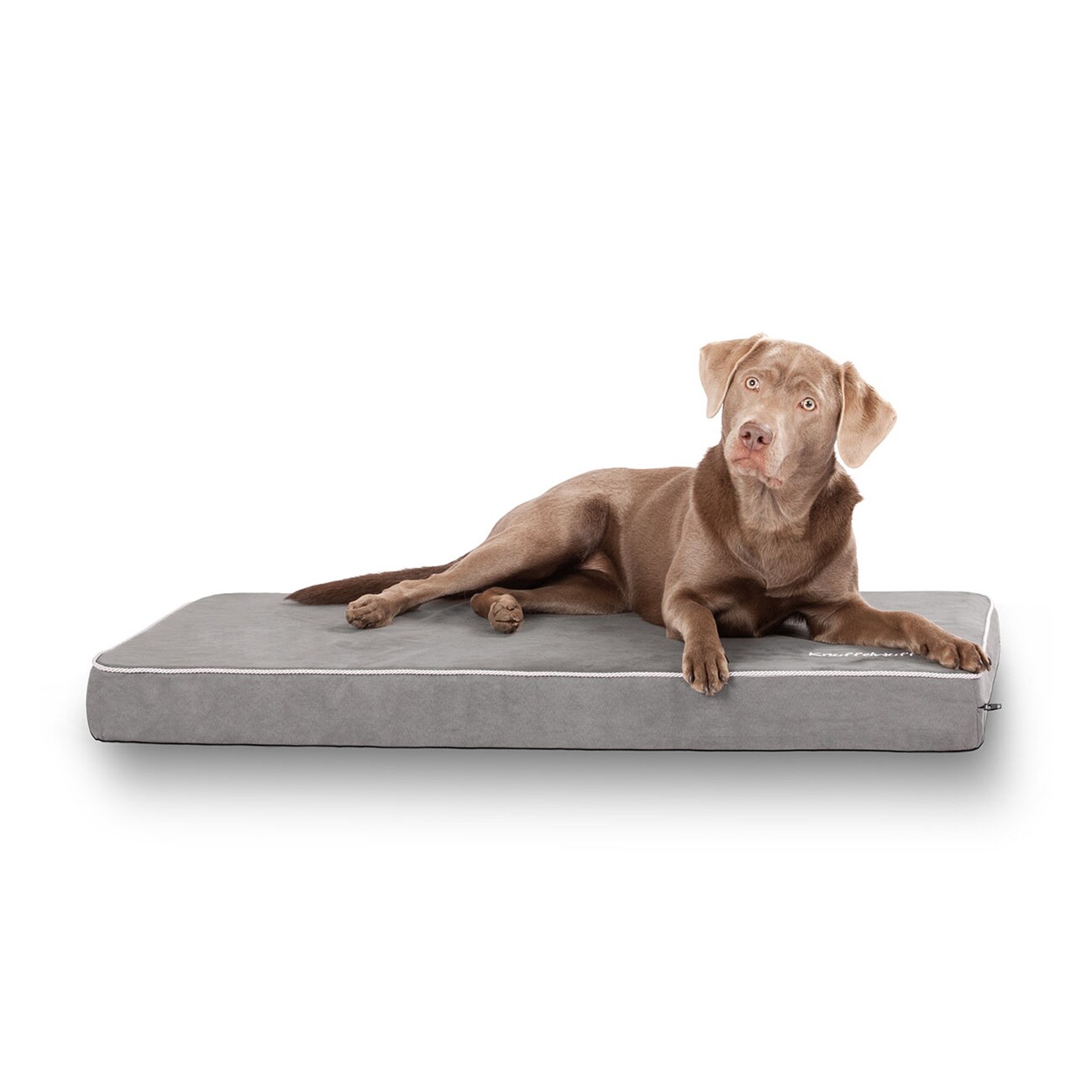 Knuffelwuff Hundematte Maui aus Velours mit 9cm Schaumstoff grau L