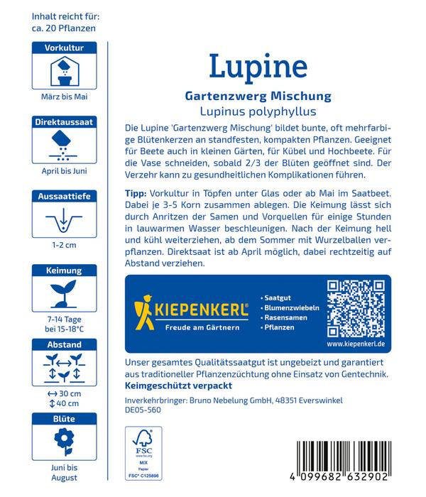 Kiepenkerl Samen Lupine 'Gartenzwerg'