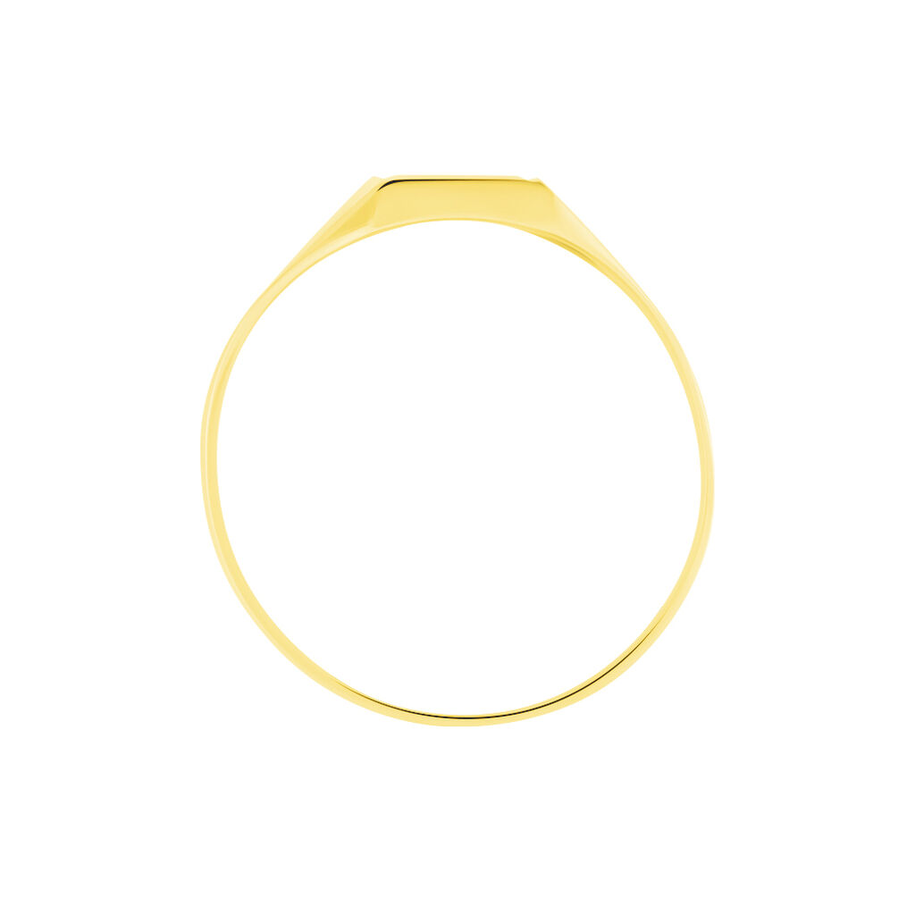 Chevalière Or Jaune