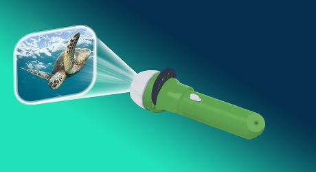 Nhm Sea Creatures Torch
