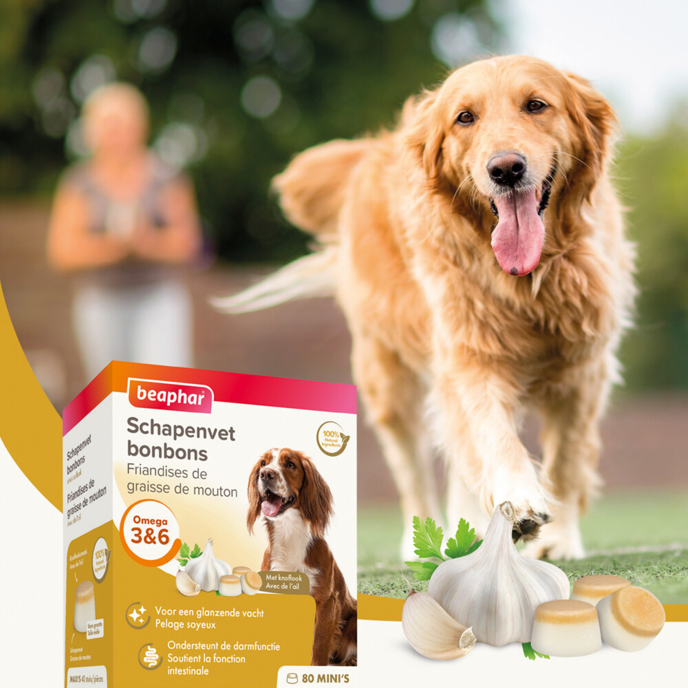 Beaphar Schapenvet Bonbons Mini Knoflook245 gr