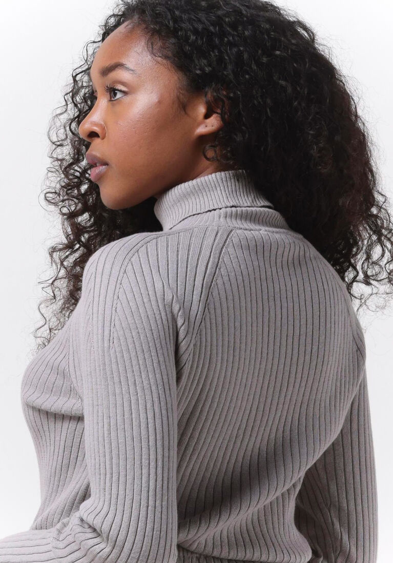ESM\u00C9 STUDIOS lichtgrijze esm&eacute; studios coltrui june roll neck knit