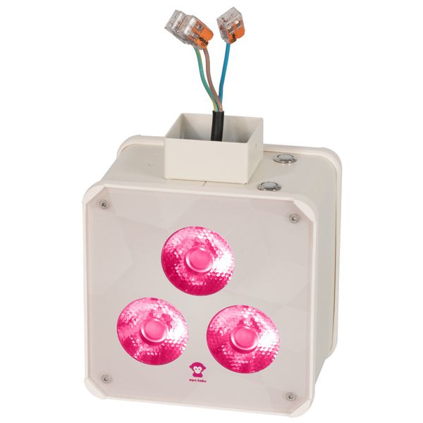 Ape Labs Double Wall Maxi V2 15° Creme