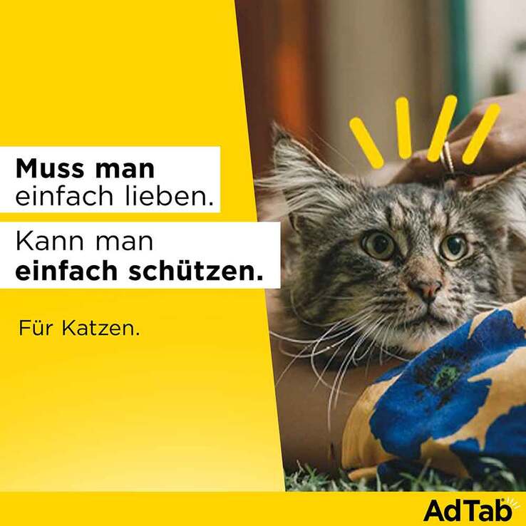 AdTab Kautabletten für Katzen 48 mg über 2 bis 8 kg, 3 St