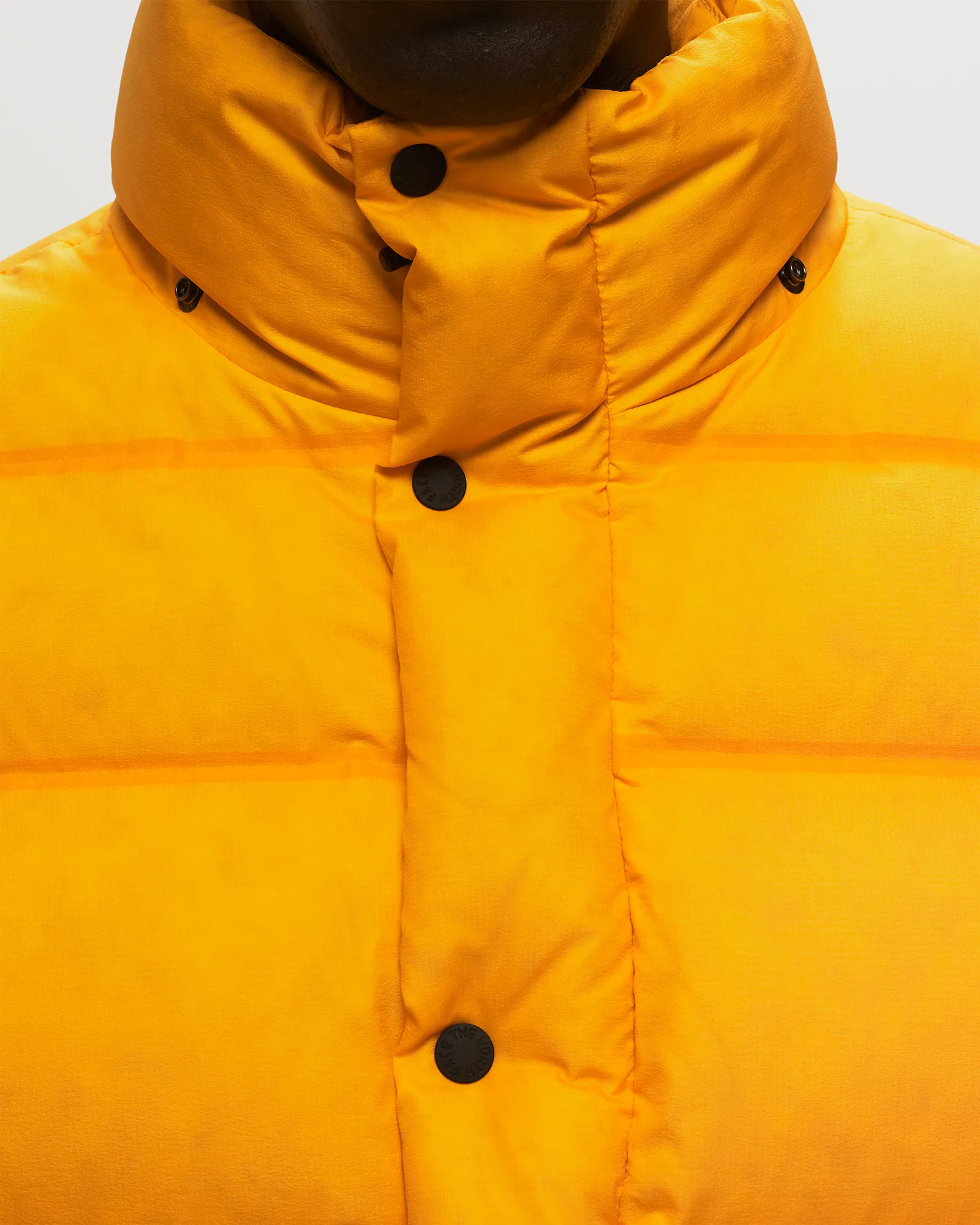 The North Face Rmst Sierra Parka