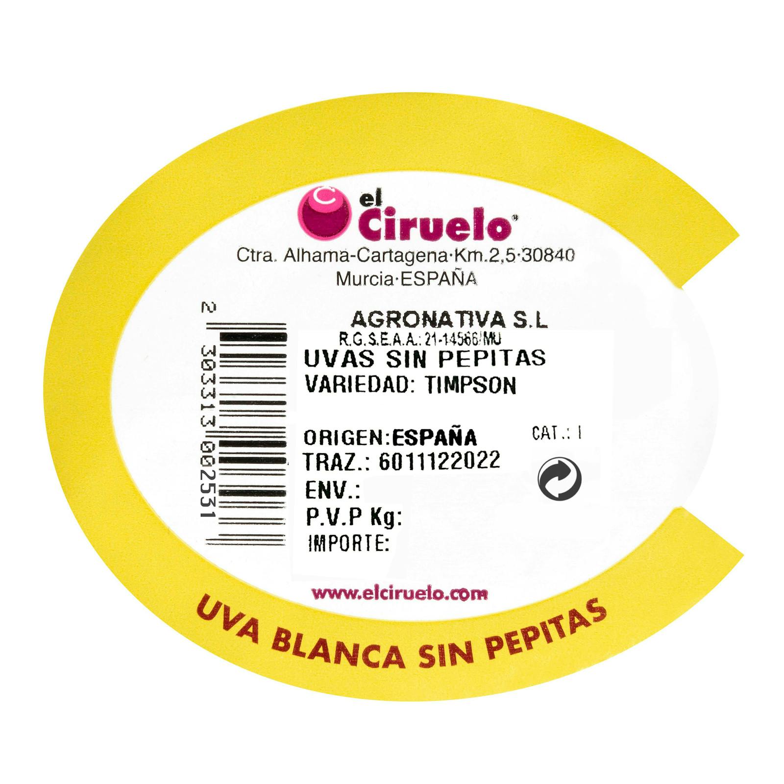 Raisins blancs sans pépins