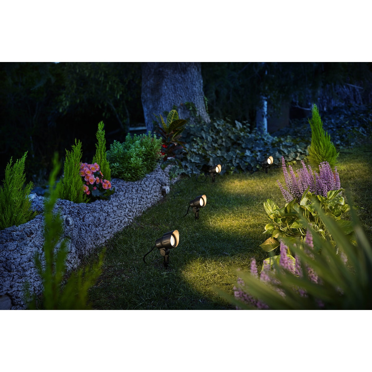 Philips GardenLink LV Spot sett for hagebelysning 24W 3-pakning