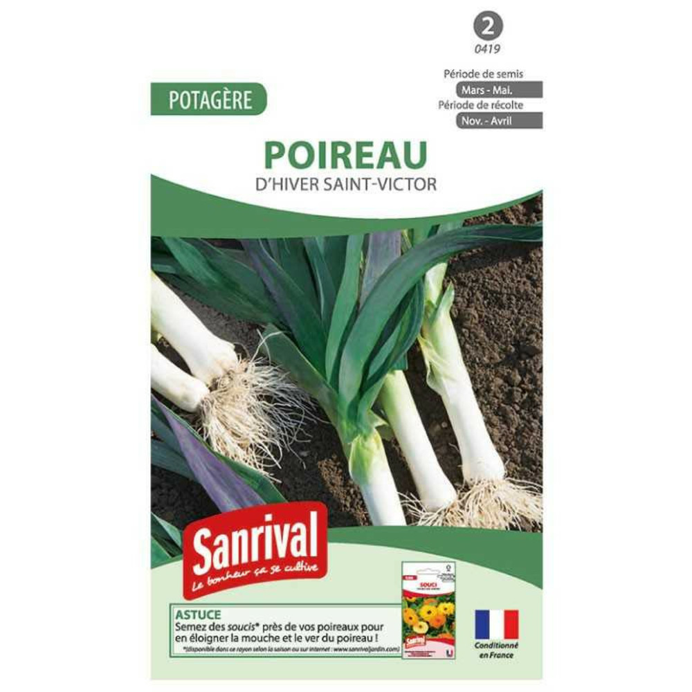 Graines poireau d'hiver saint victor