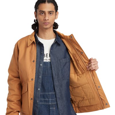 Blouson homme Strafford Insulated TIMBERLAND