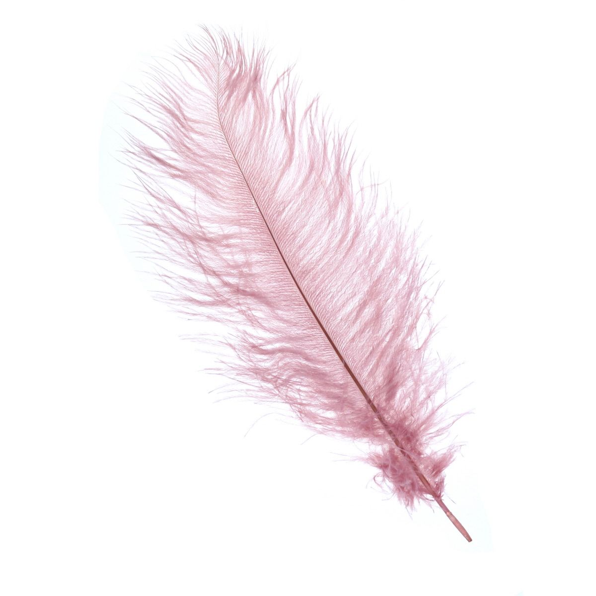 Plume d'autruche vieux rose Atelier jasmin