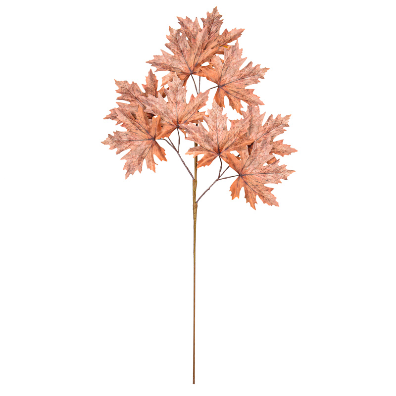 BRANCHE DE FEUILLES D'ERABLE DE NORVEGE