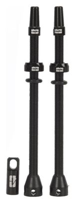 Paire de Valves Tubeless Progress PG-719 Presta 80mm Noir