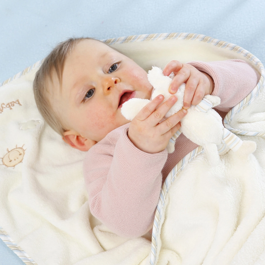 FEHN Kuscheldecke Baby Love Schaf Paul