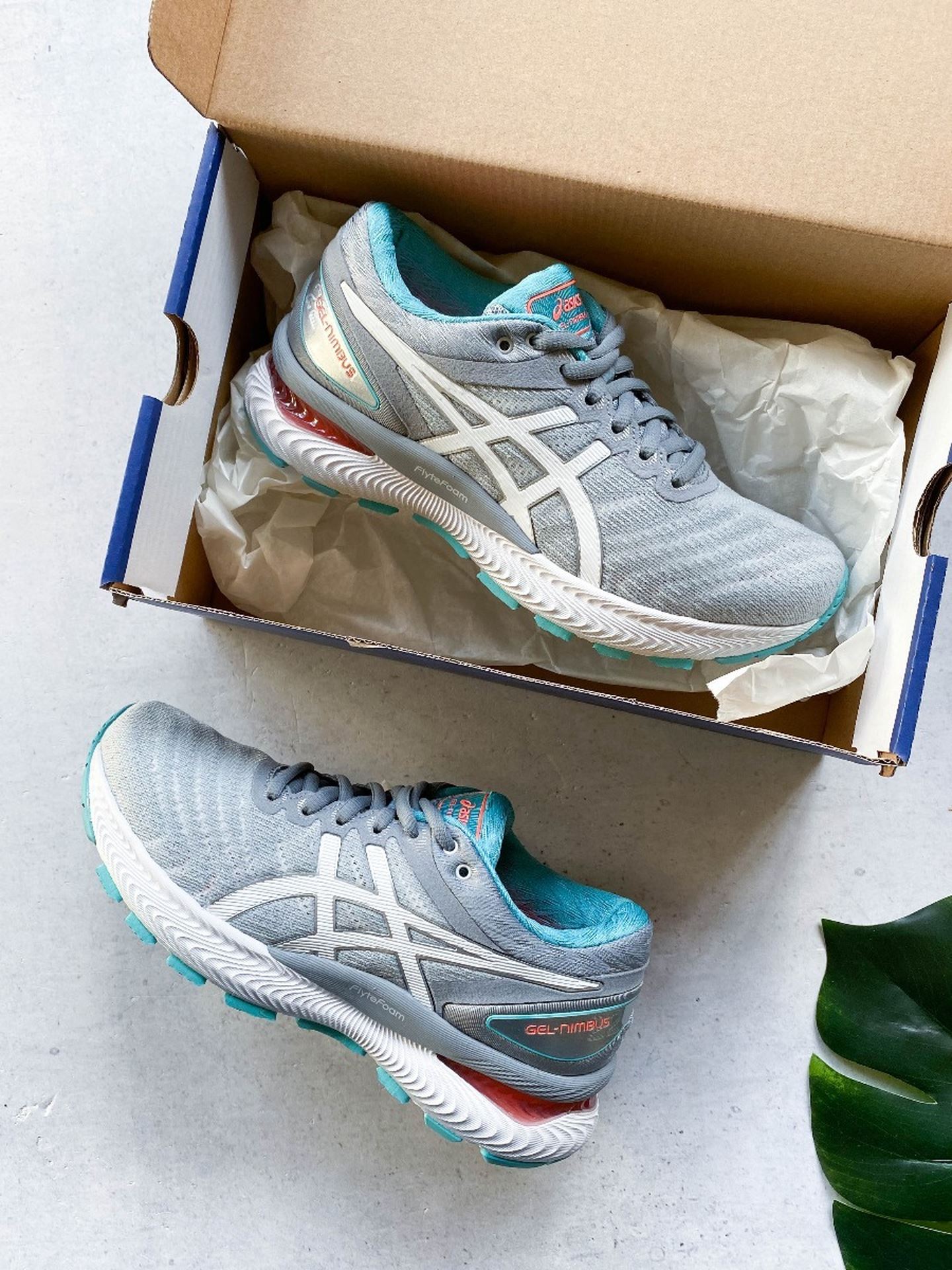 Gel-Nimbus 22