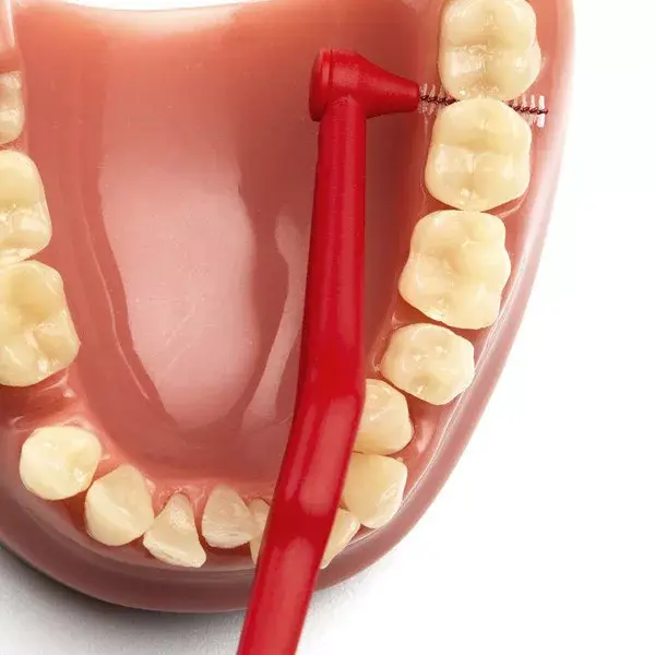 Escova interdental angular TePe Eco-Responsible ISO 2 / 0,5 mm, pacote com 6 unidades.
