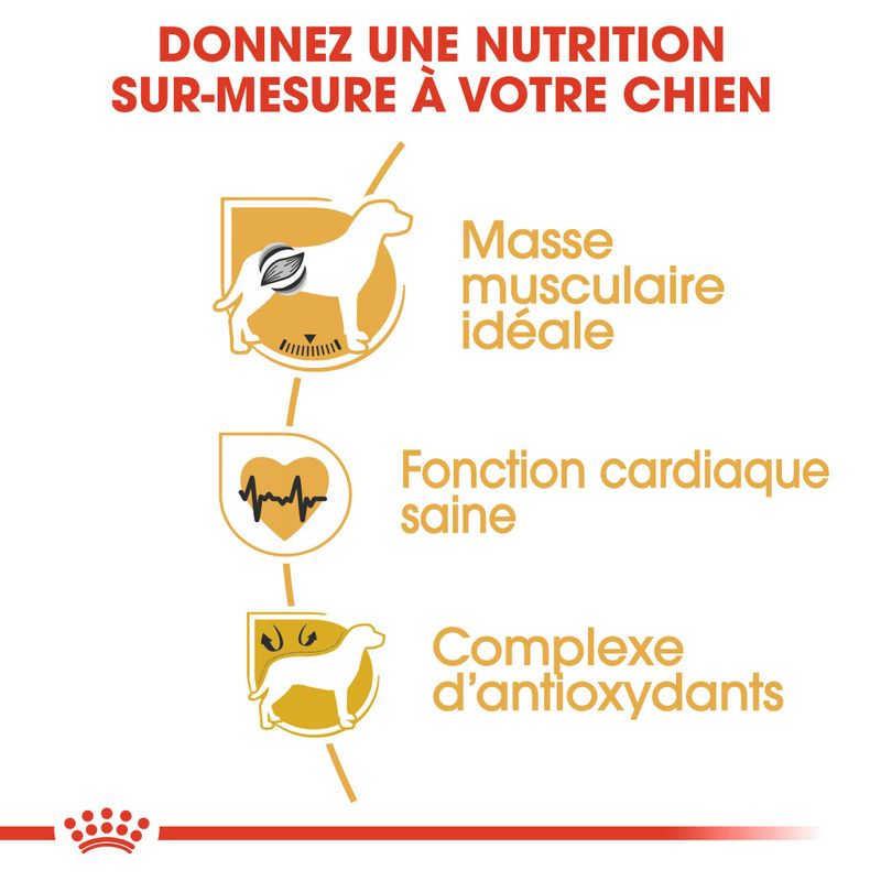 Royal Canin Boxer Adult à prix discount sur bitiba.fr