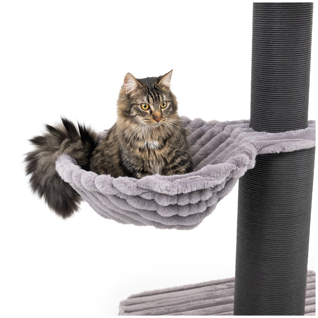 Canadian Cat Company Kratzbaum Louis