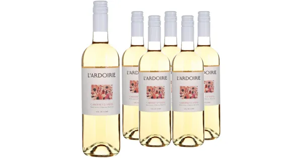 Cabernet d'Anjou AOP L'Ardoirie Rosé 6x 75cl (2024) – Roséwein, Frankreich (0.75l)