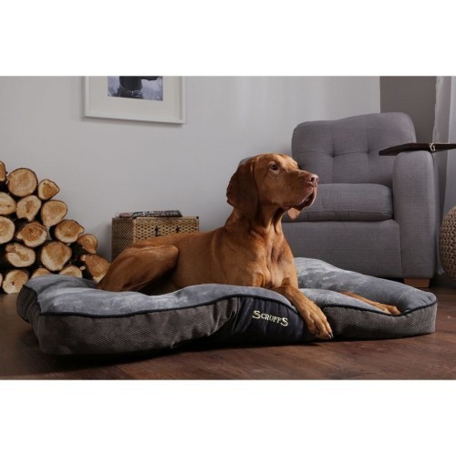 Cama para cachorro Chester, cinza