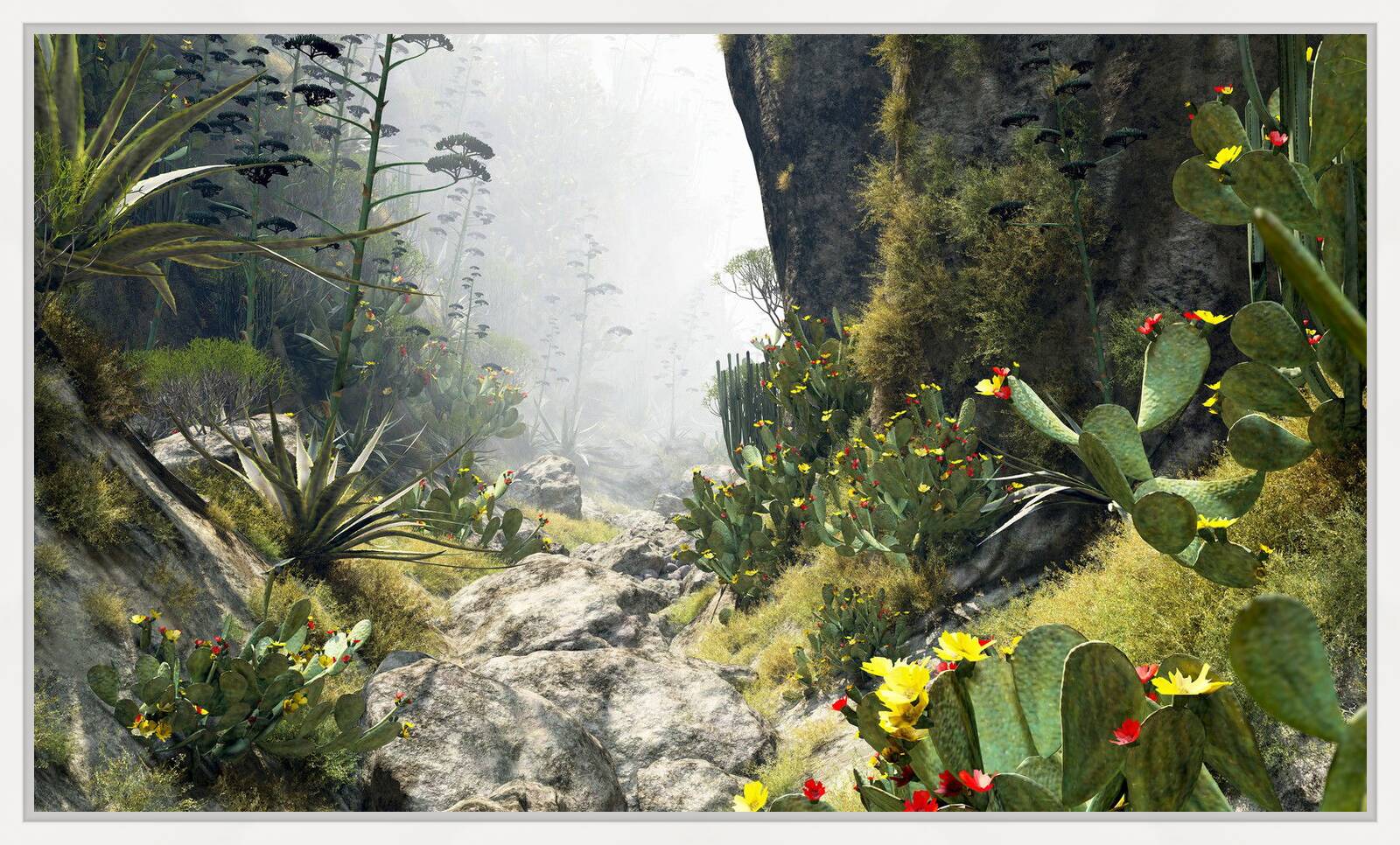Barranco del Rey 33 by Gerhard Mantz - Limited Edition. Edition of: 100. Signed.