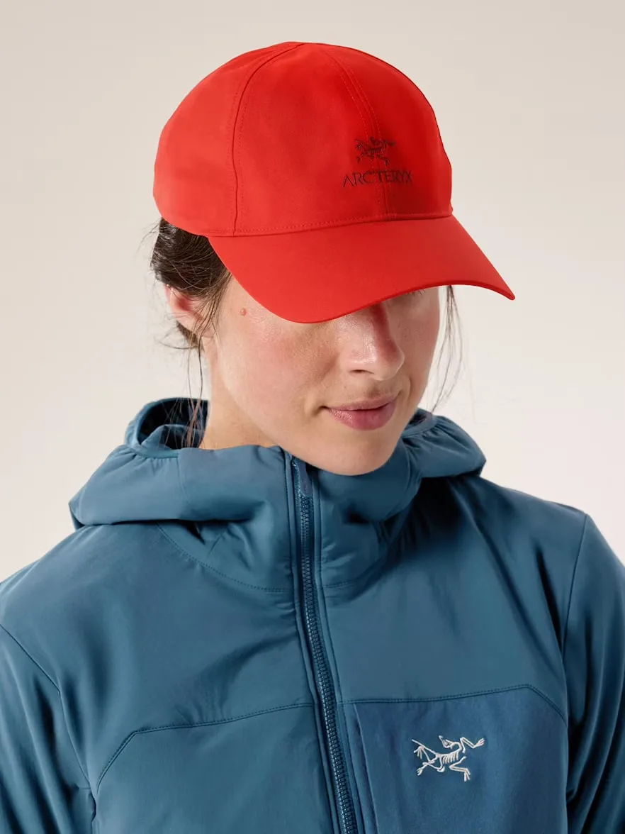Arc'teryx Bird Word Cap Dynasty