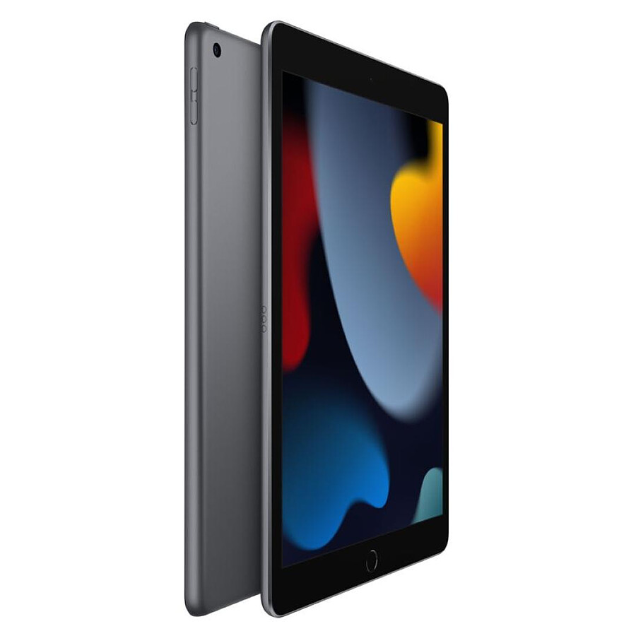 Apple iPad Wi-Fi 10.2 - 256 Go - Gris Sidéral (9 ème génération)