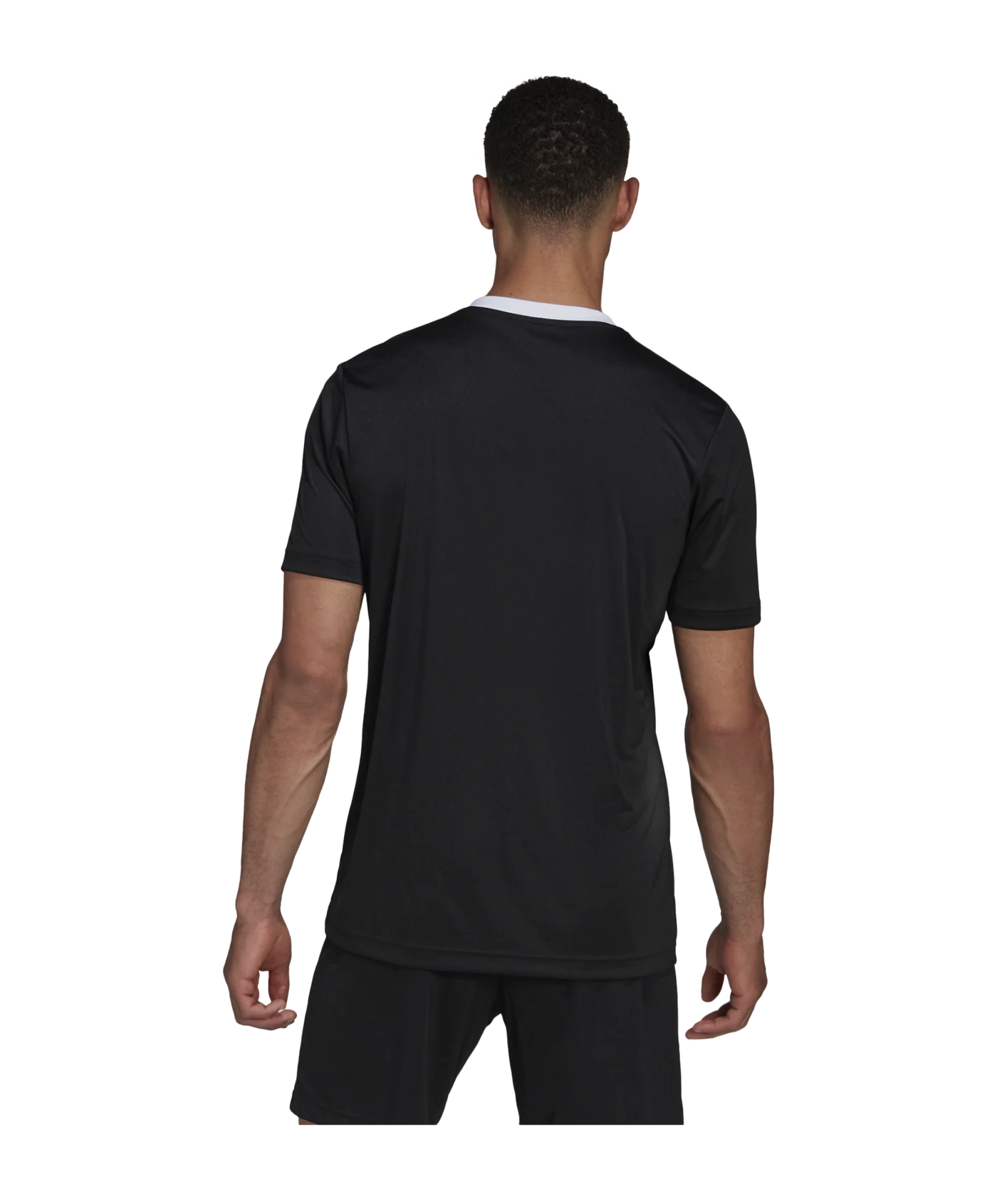 adidas Entrada 22 Trikot Schwarz Weiss