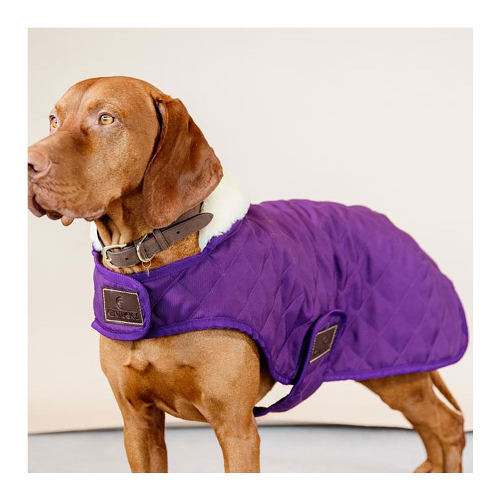 Kentucky ORIGINAL - Manteau pour chien royal purple