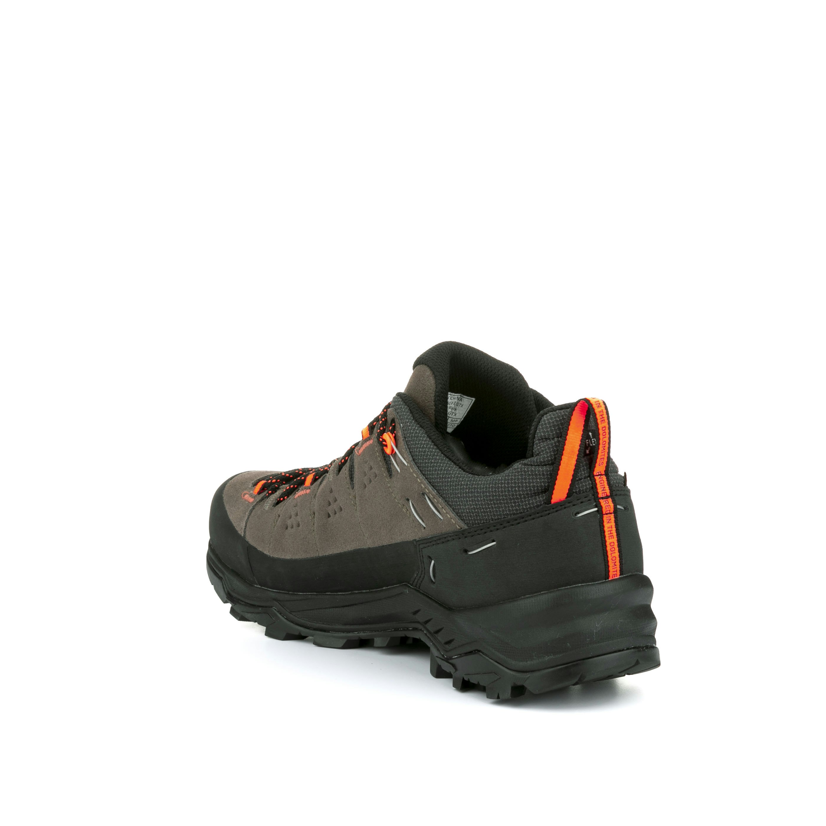 Alp Trainer 2 Gore-Tex® Schuh Herren
