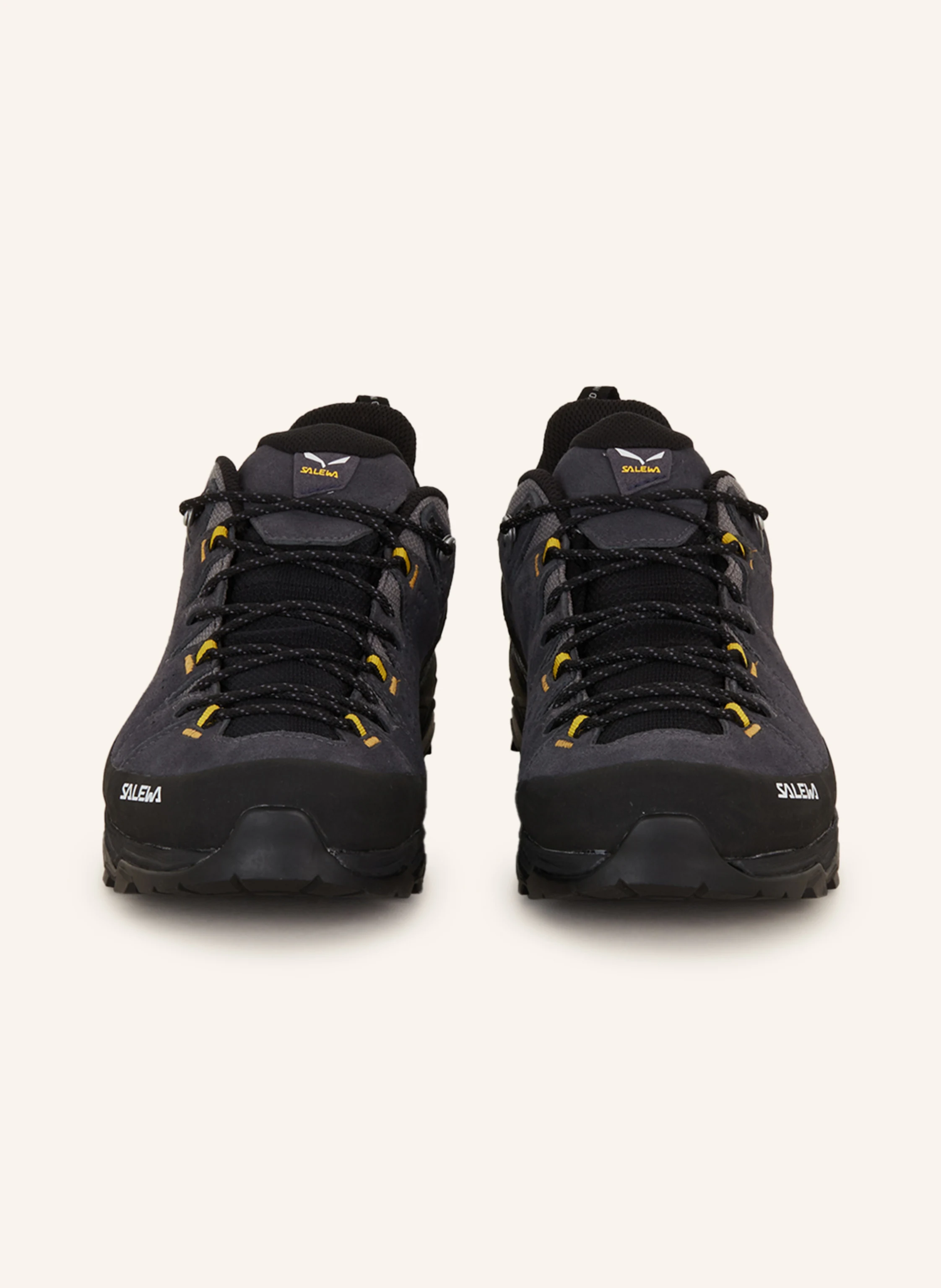 SALEWA Wanderschuhe ALP TRAINER 2 GTX