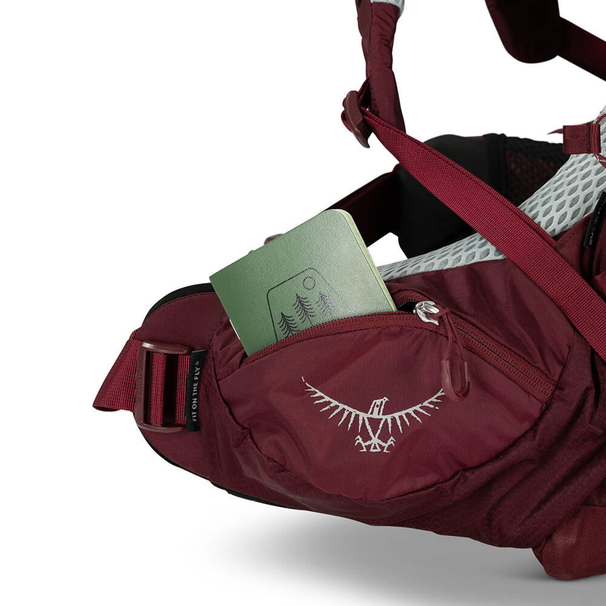 Osprey<br>Aura AG LT 65
