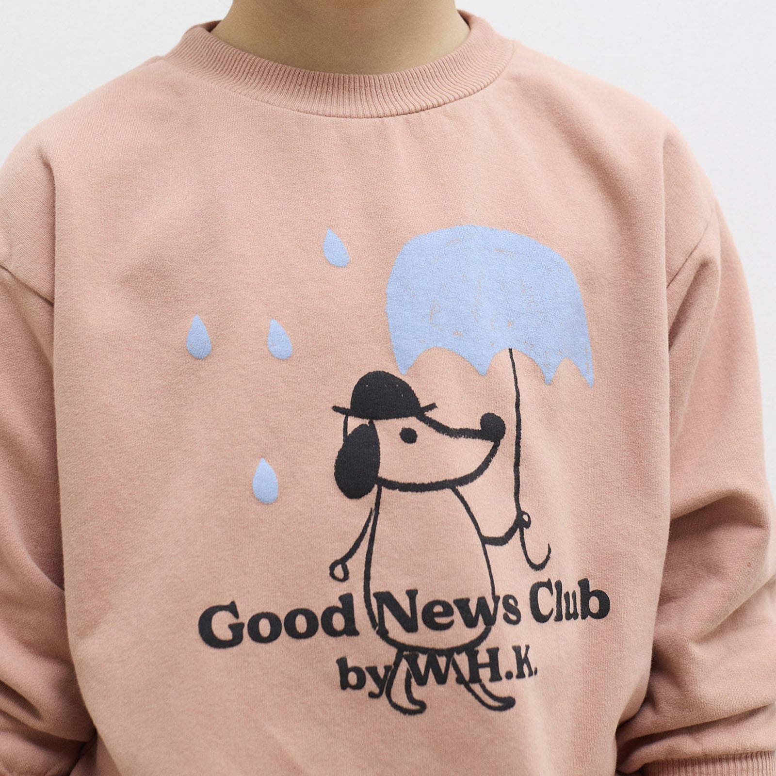 Sweatshirt Rainy Dog Dusty Pink
