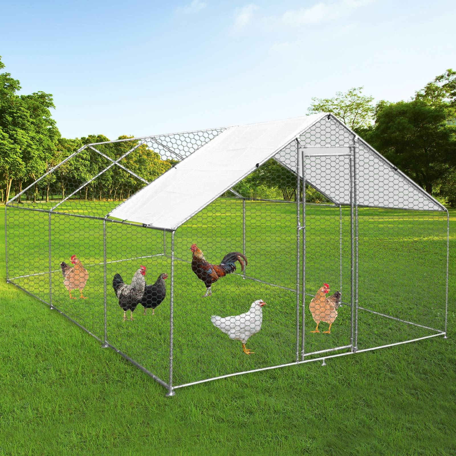 Gaiola para aves, cercado, caixa para galinhas, aço, 4m x 6m x 2m