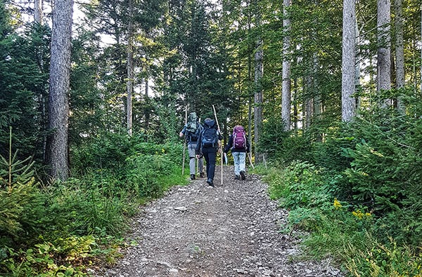 Bogenschießen Bad Peterstal-Griesbach