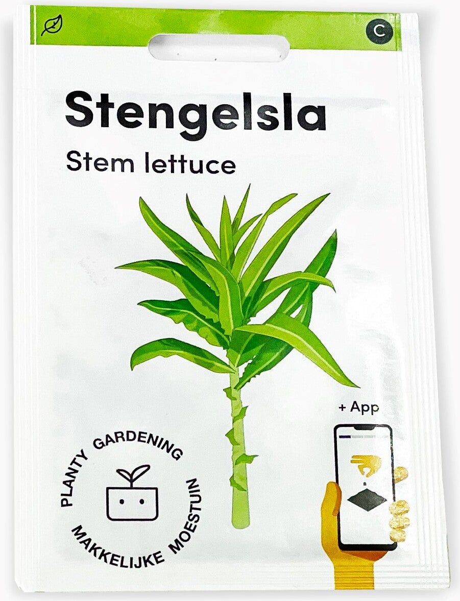 Makkelijke Moestuin groentezaad Stengelsla (Lactuca sativa var. angustana)