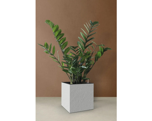 Cubico Stone plantenbak met plantenbak, kunststof, 27 x 27 x 27 cm, wit