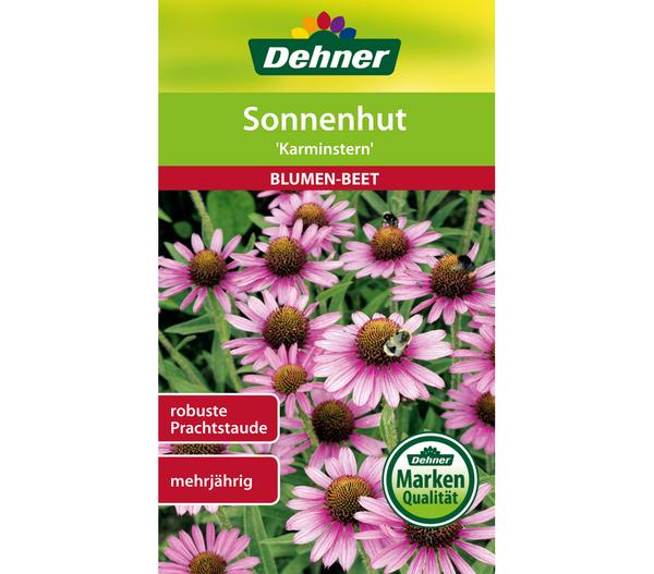 Dehner Samen Sonnenhut 'Karminstern'