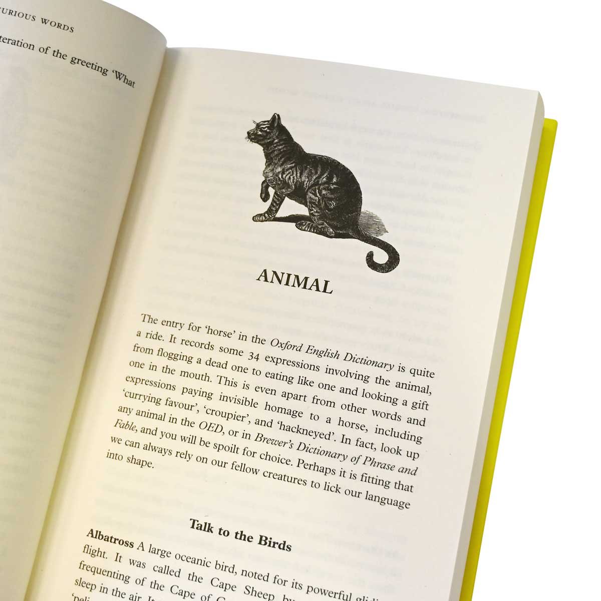 Interesting Stories about Curious Words: From Stealing Thunder to Red Herrings (Hardback)