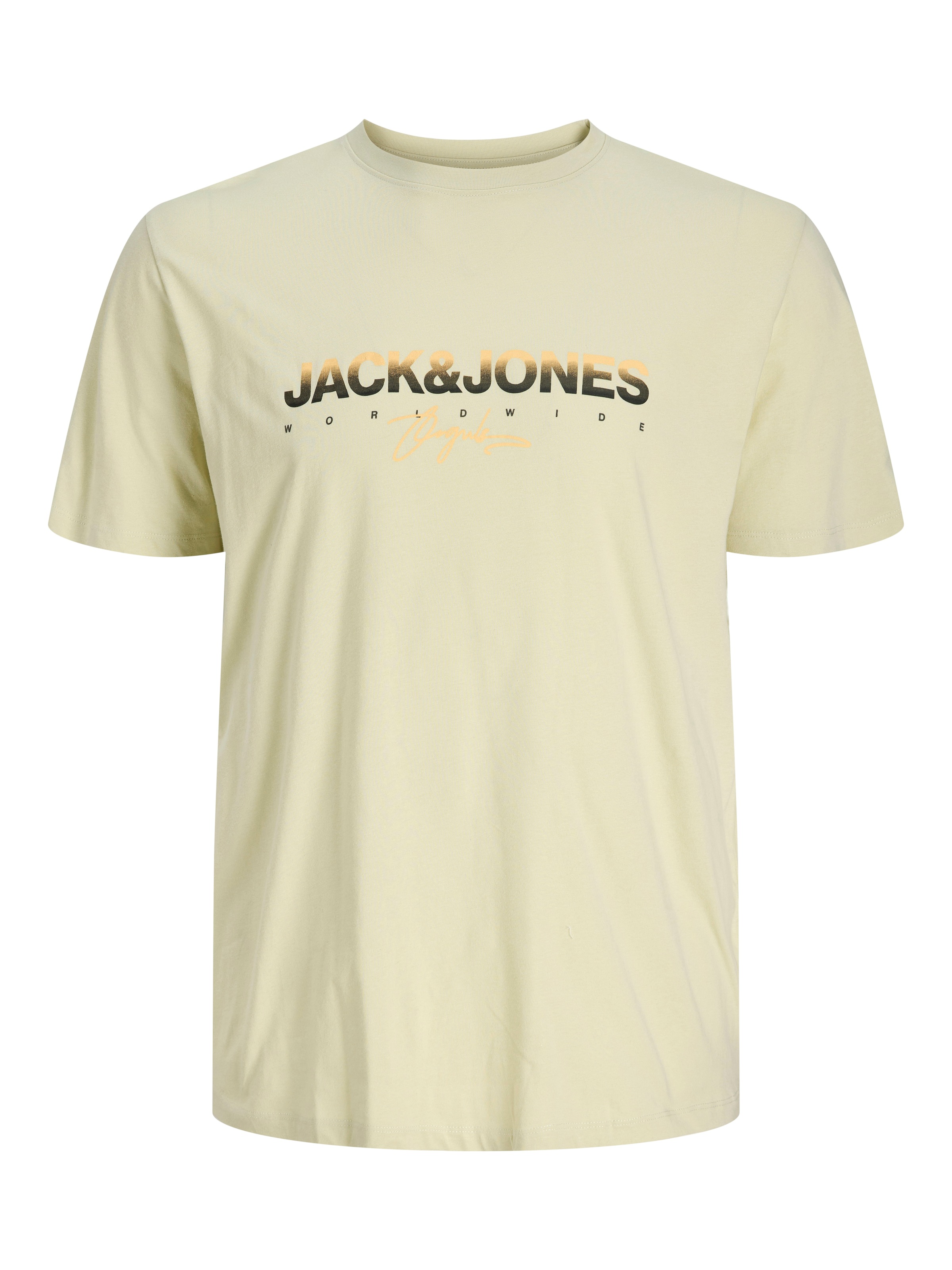 Jack & Jones PlusSize Print-Shirt »JORCANGGU TEE SS CREW NECK FST PLS«, mit Logo Print