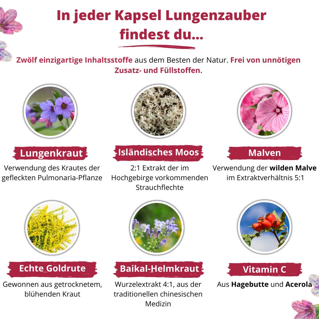 Nuala Naturals® - LUNGENZAUBER Lungenkraut Komplex mit Eukalyptus und Salbei