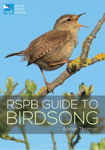 RSPB Guide to Birdsong - RSPB (Paperback)