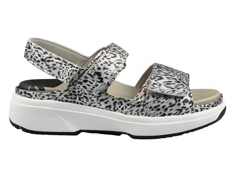 Xsensible 30700.5 Silver Fantasy