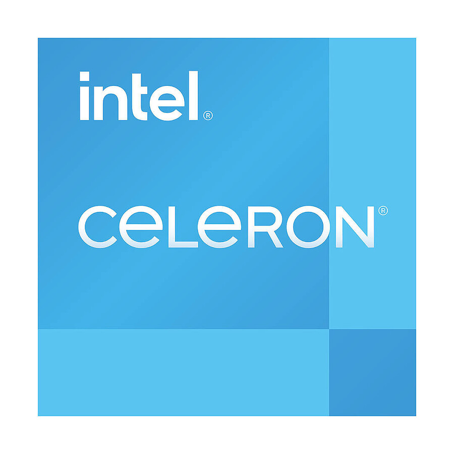 Intel Celeron G6900